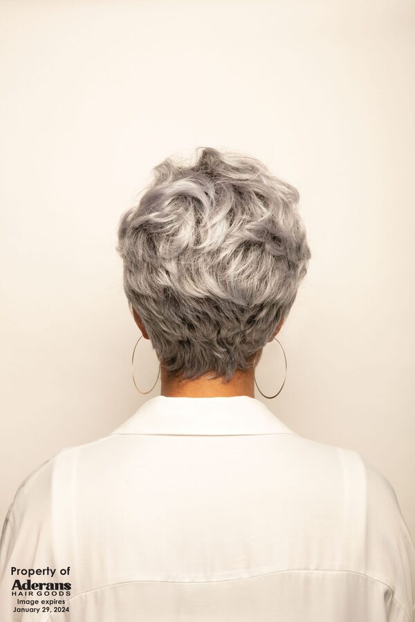 Max Wig by René of Paris in Snowy Sapphire-R