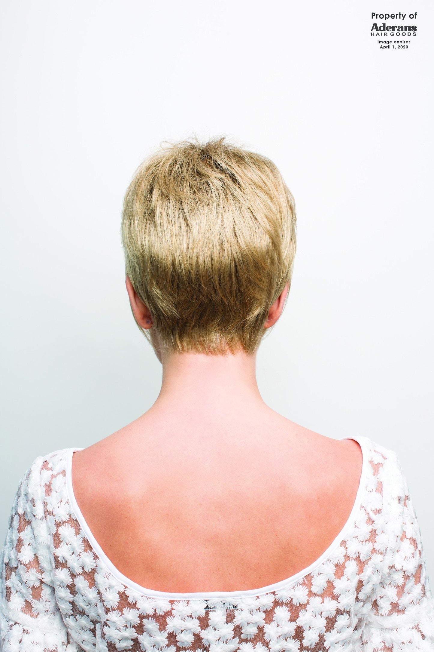 Phoenix Wig - 2565