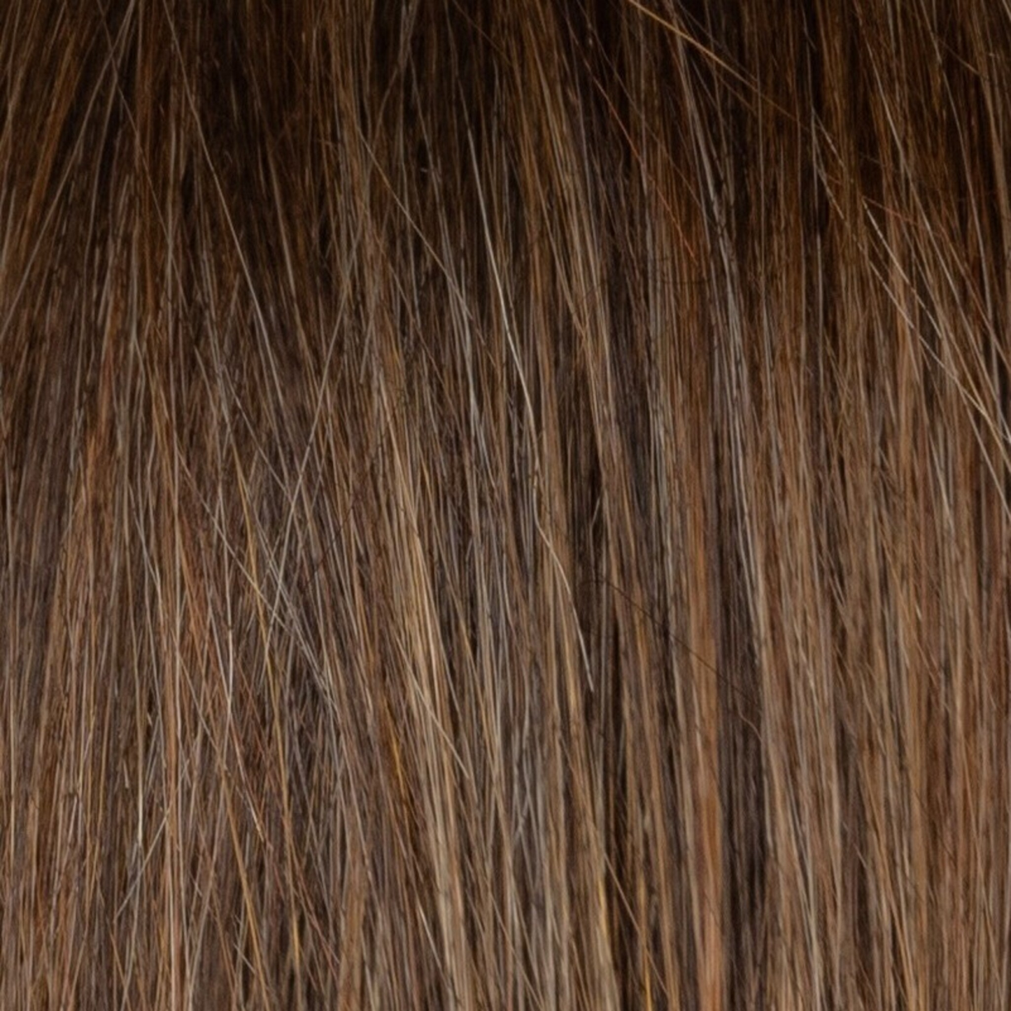 Bay Wig - 2585