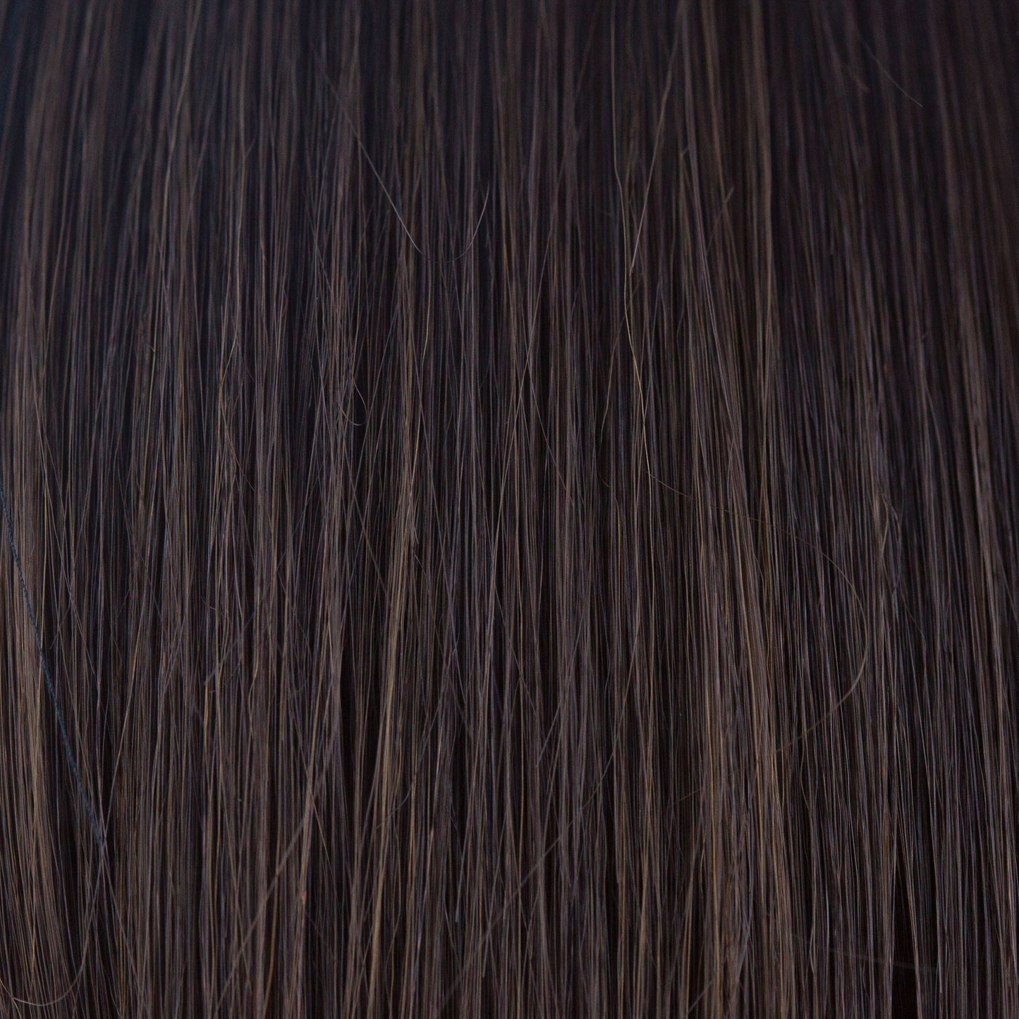 Levy Wig - 2582