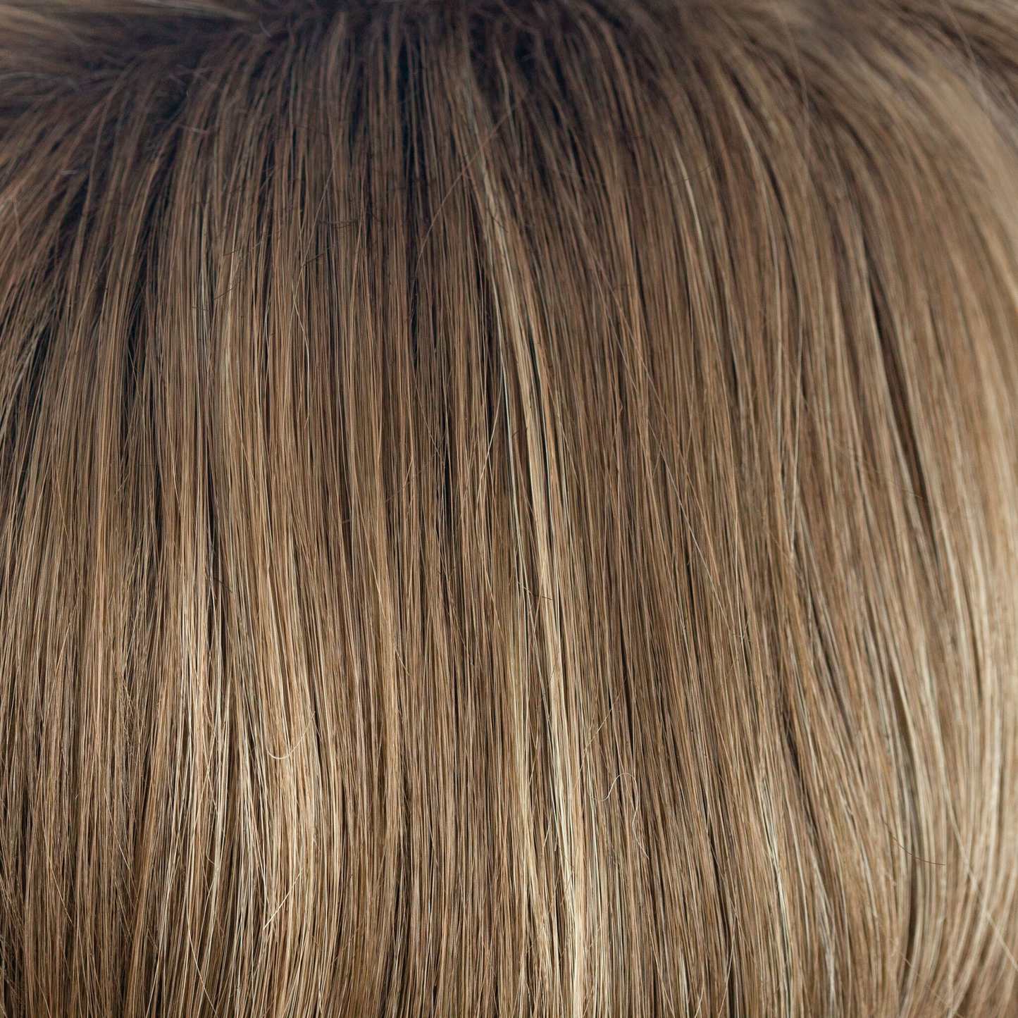Bay Wig - 2585