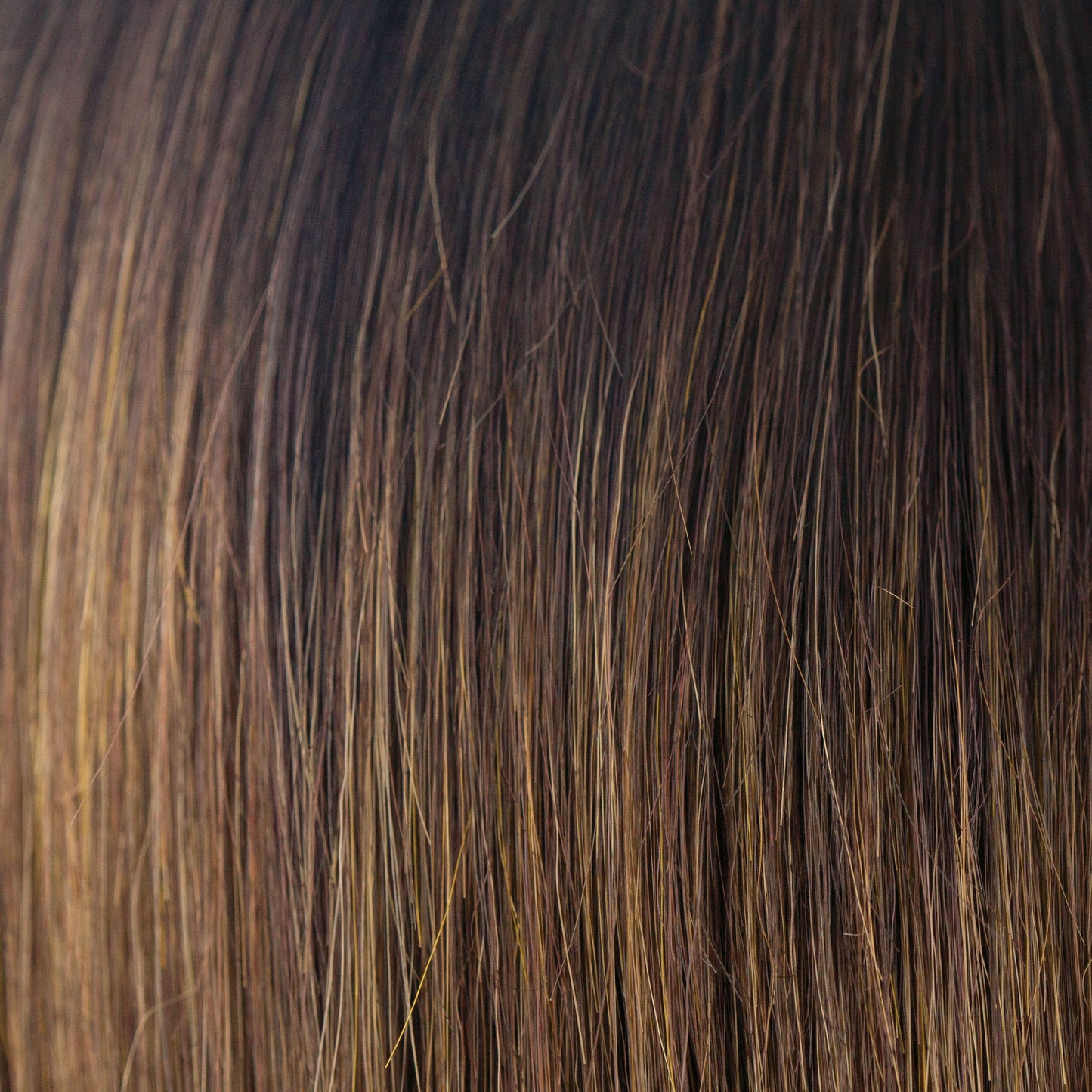 Emy Wig - 2576