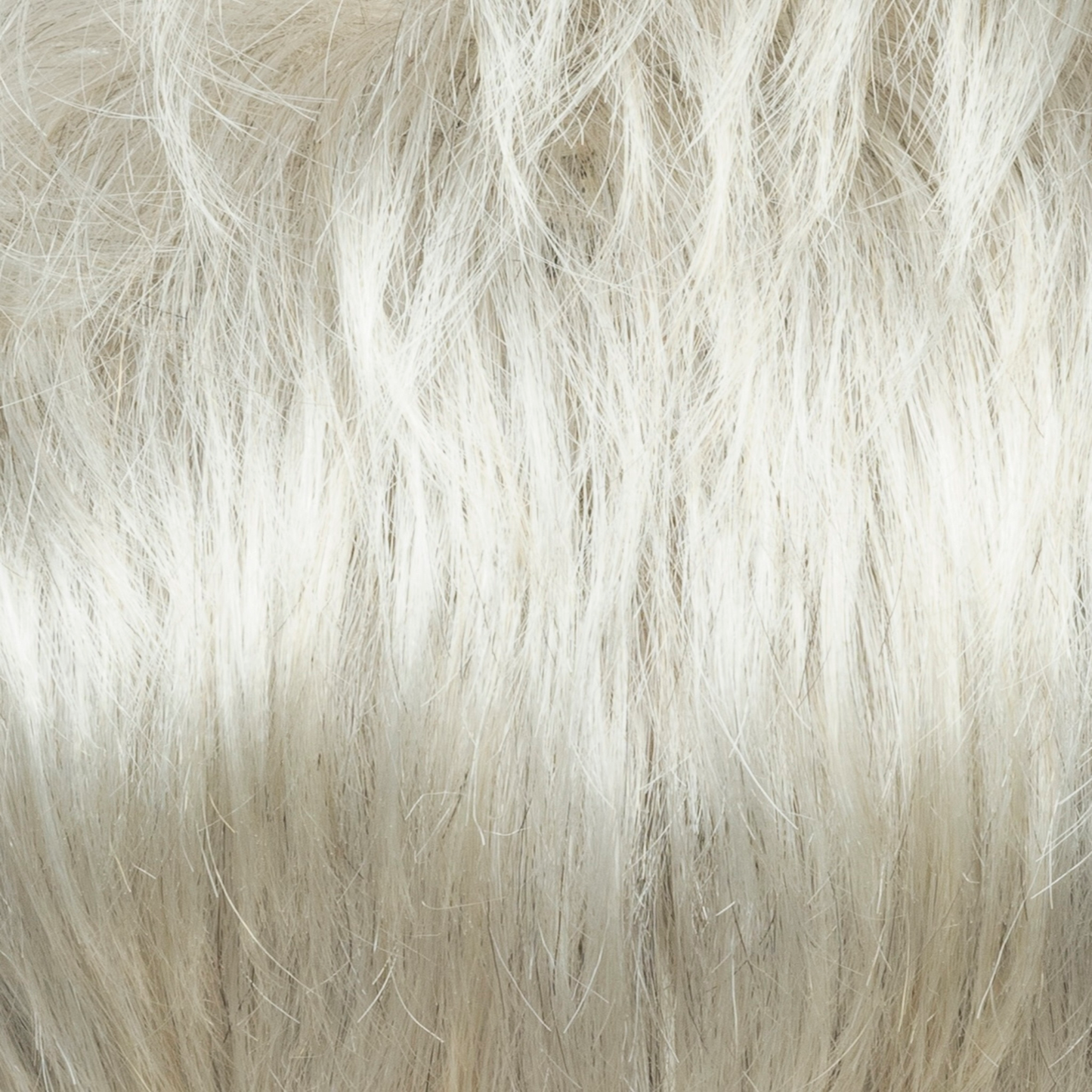 Champagne Silver - A combination of platinum blond and natural light grey. It has soft, light blond tones at the face line and has ends creates a refreshing, dimensional look.