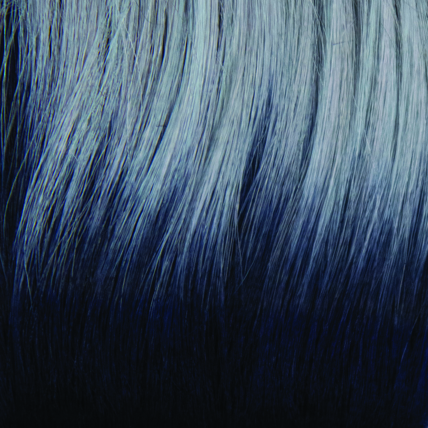 Frozen Sapphire - A smoky fused icey blue base with indigo black roots. The crystalline color illuminates any skin tone.
