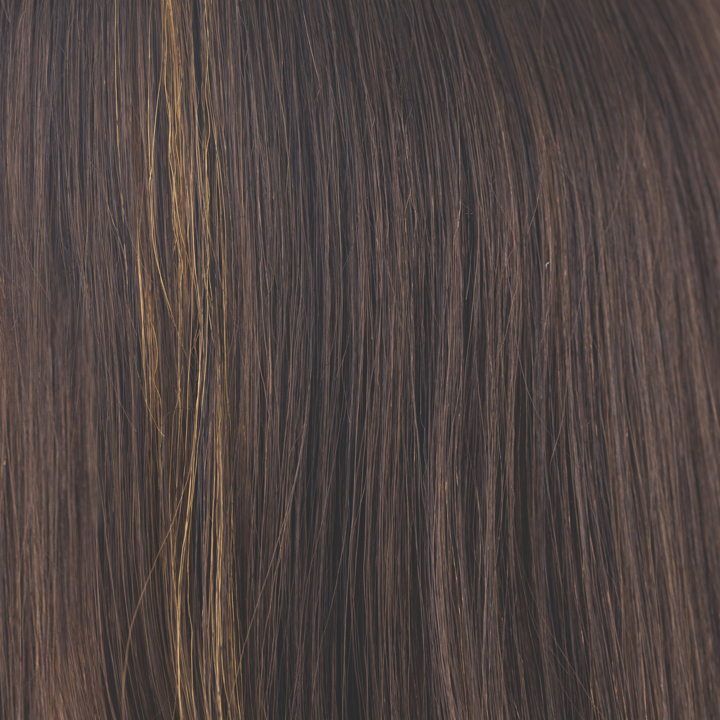 Kahlua Blast - A cool toned brown that has a Dark Chocolate-base. This color has a lively yellow golden streak on the front, making it a statement color for daily wear.