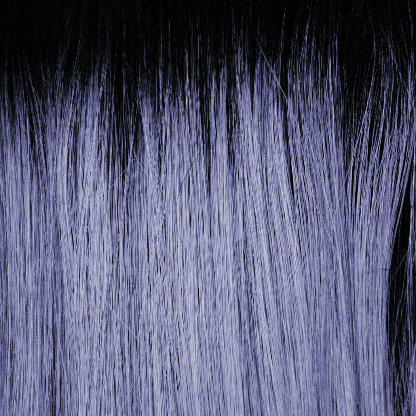 Lunar Haze - A smoky fused periwinkle base with off-black roots. Illuminating, smooth tone gives a stylish appearance.