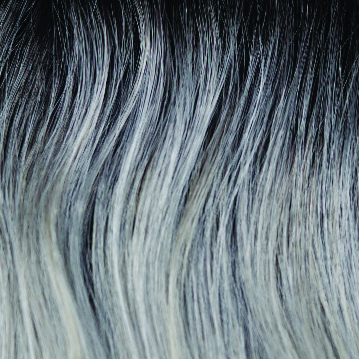 Moonstone - This blend of cool white silver gray and creamy white gray tones is our Moonstone color. The subtle, refined beauty of this color palette is completed with the addition of natural dark brown roots. An excellent choice for those that want a fashion-forward, dreamy look!