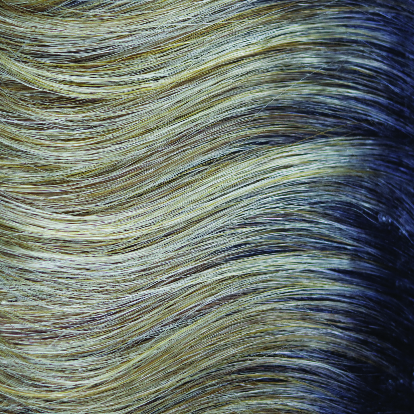 Peanutbutter Swirl - A rooted classy medium blond with pearl beige slices and tones of medium warm peanut butter slices and honeysuckle blonds. Peanut Butter Swirl is a deliciously warm color!
