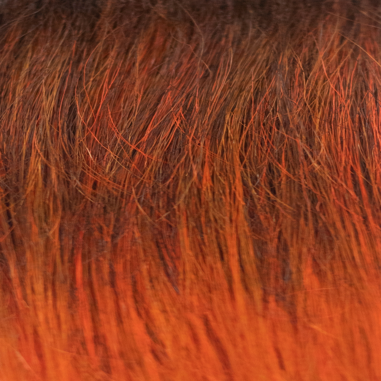 Red Copper - A bold, warm troned shade that blends rich red with vibrant copper undertones.