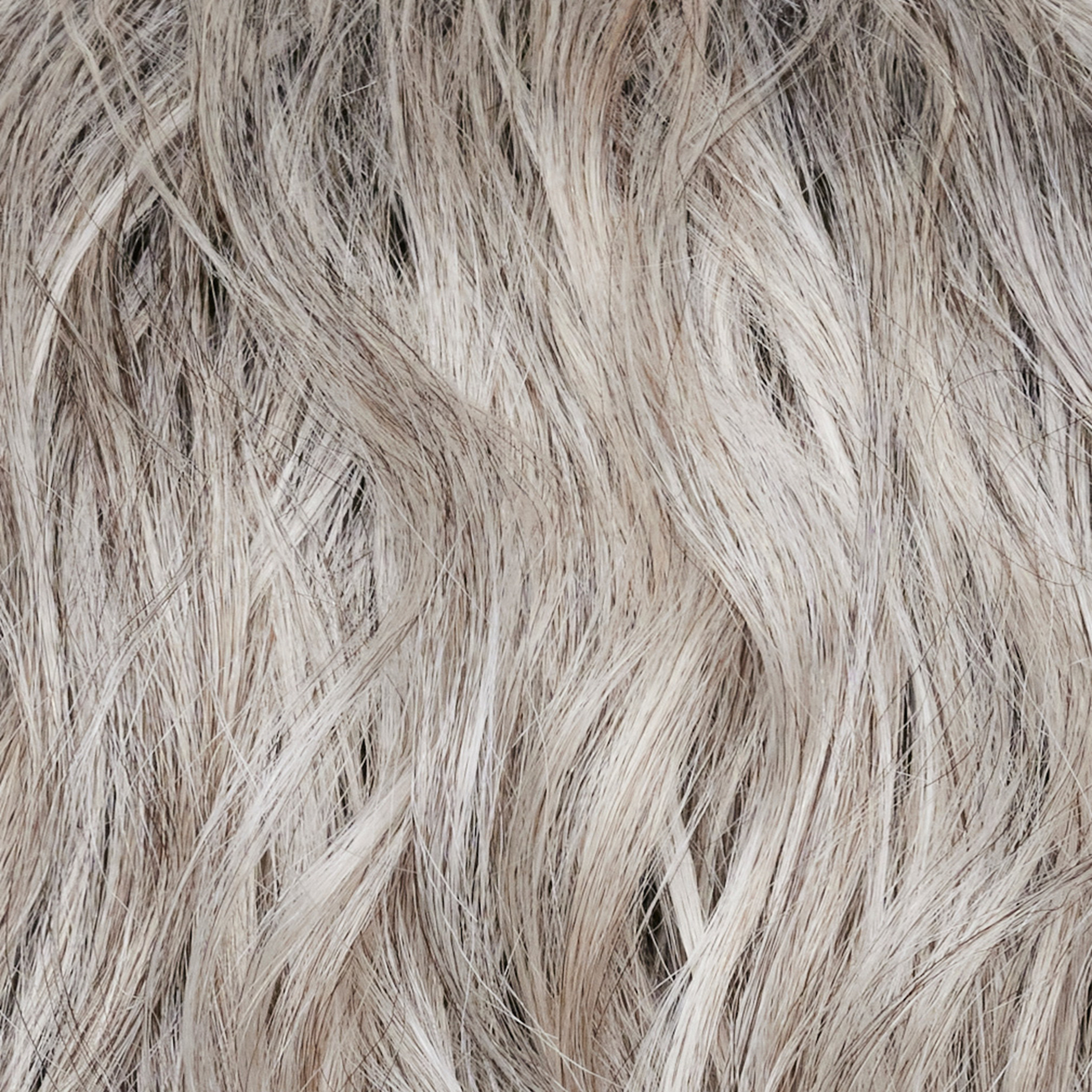Silver Brown-MR - This Micro Root, has a very small regrowth which transcends into the silver, grey and honey brown tones.