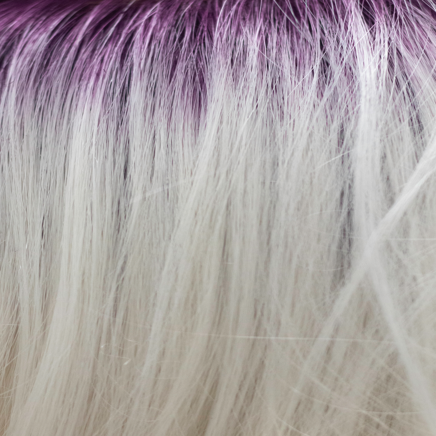 Whipped Berry - Purple root with white ends