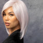 Silky Sleek Wig - 1507