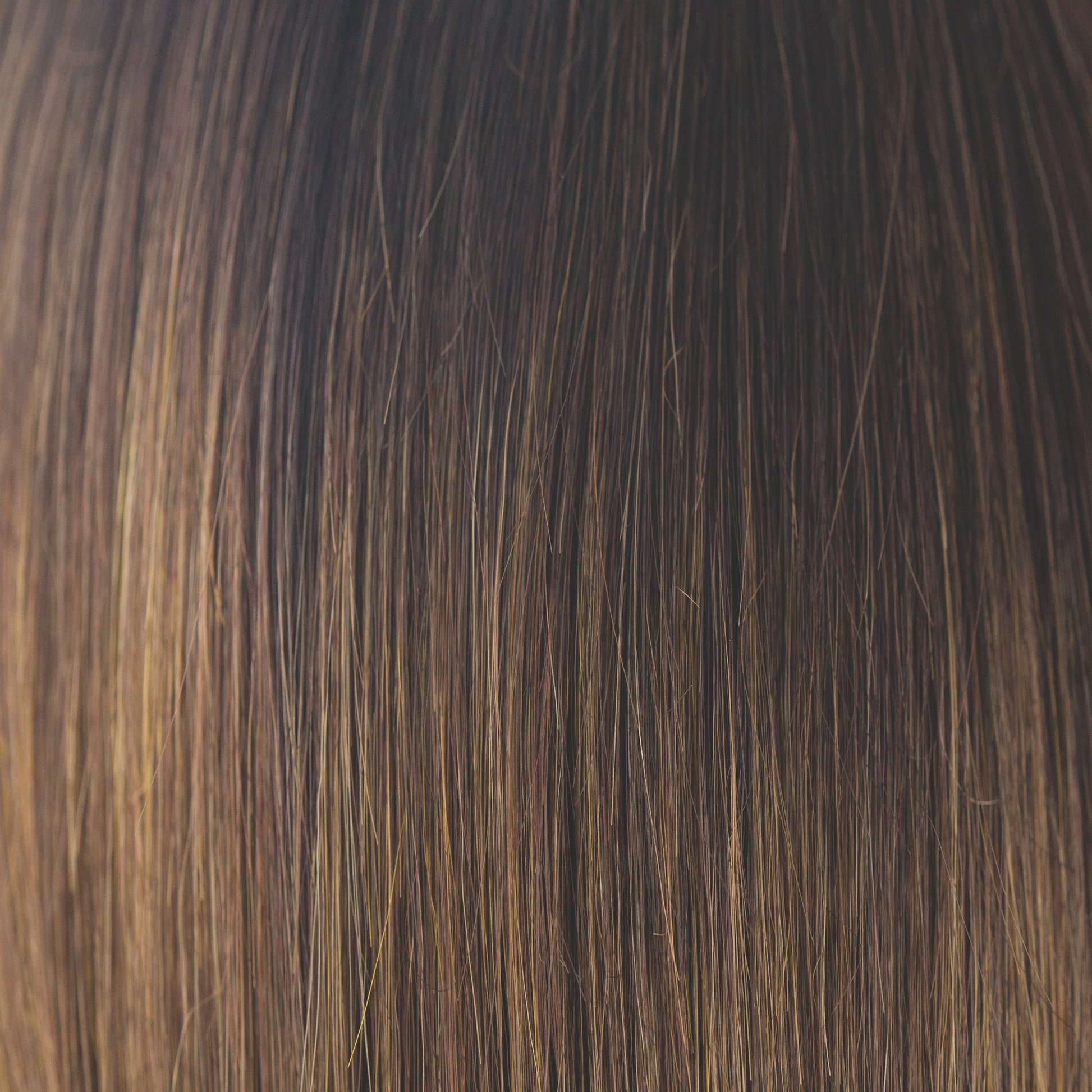Marble Brown-R  -  The perfect mixture of a warm dark brown and medium golden blond. Warm, dark brown roots added for a natural shadowed effect create a warm, but defining look.