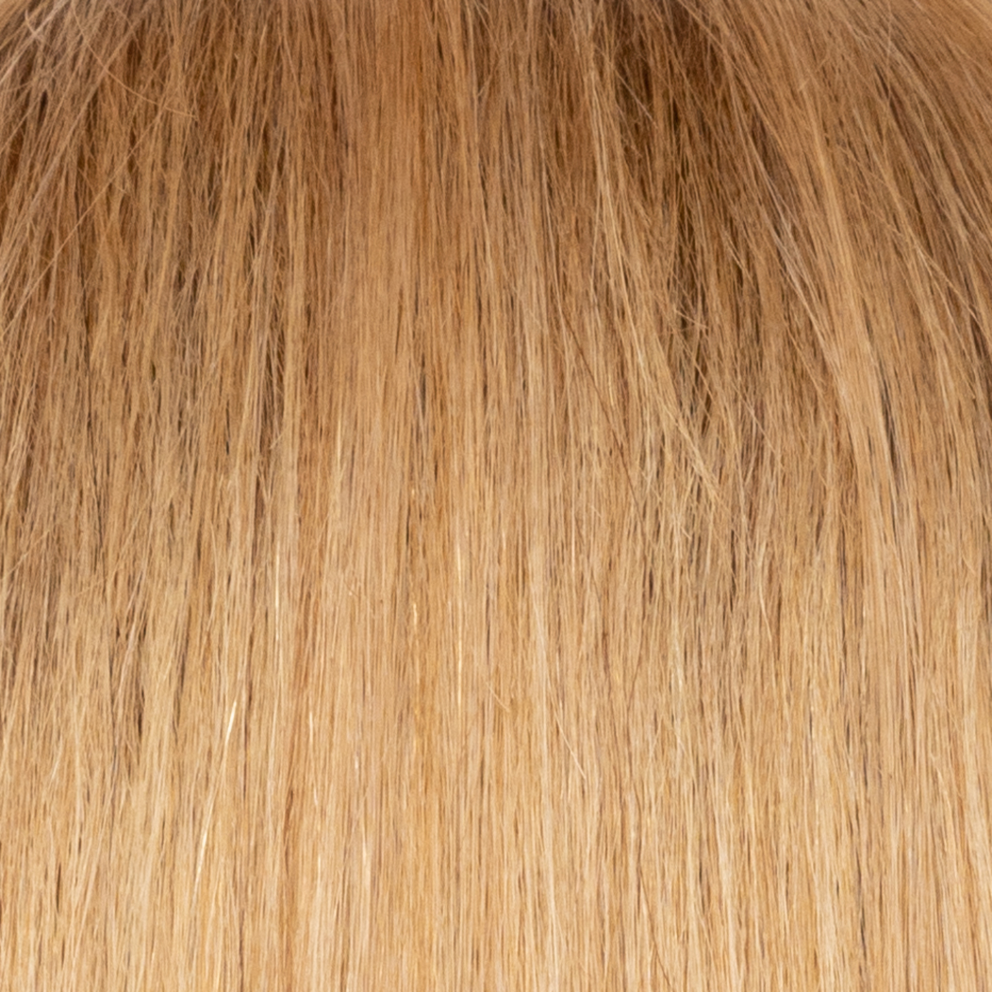 Sandy Blond-R  -  A darker blond root blended with multi-tonal shades of cream, honey, ash, and toffee.