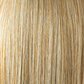 Spring Honey-T  -  A perfect blend of warm honey blond and cool platinum blond. Lighter face line & hair ends complete a dimensional appearance.